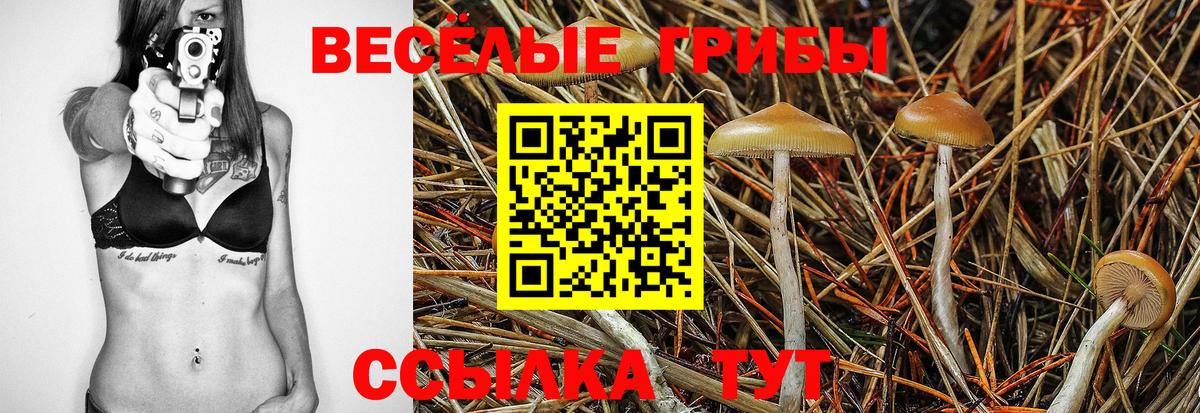 Псилоцибиновые грибы Cubensis  даркнет сайт  Ярославль  Псилоцибиновые грибы Cubensis  Вход с VPN 